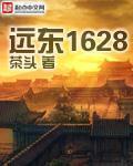 远东1628小说封面