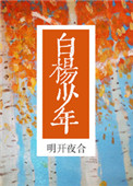白杨少年小说封面