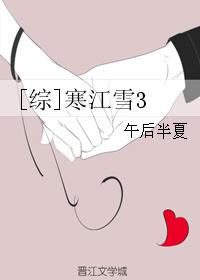 [综]寒江雪3小说封面