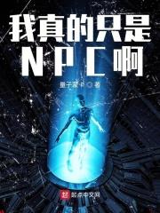 我真的是npc