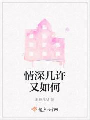 情深几许歌词是什么意思