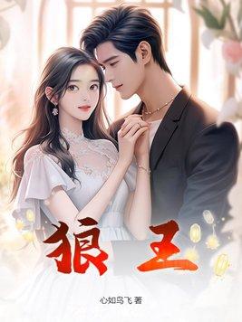 狼王摄梦人板子介绍