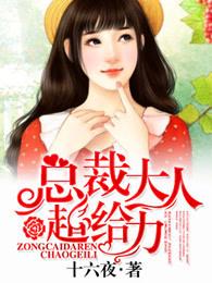 总裁大人超给力第三部